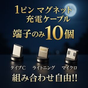 【超激安】便利 選べる端子 マグネット充電ケーブル端子 10個