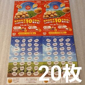 懸賞 Calbee カルビー 大収穫祭 2025 キャンペーン 専用応募はがき 応募ハガキ 応募用紙 台紙