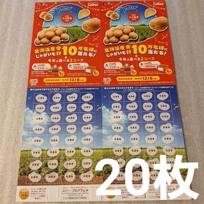 懸賞 Calbee カルビー 大収穫祭 2025 キャンペーン専用応募はがき 応募ハガキ 応募用紙 台紙 20枚