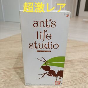 激レア ant's life studio アンツライフスタジオ 希少 入手困難 当時物