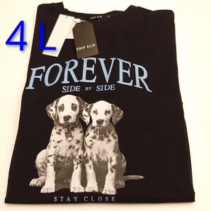 【新品未使用】ダルメシアン -FOREVER SIDE BY SIDE- 4L