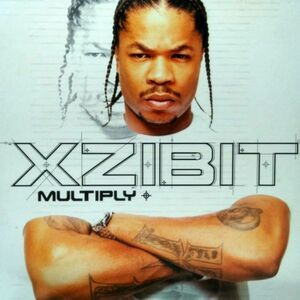 12inchレコード　 XZIBIT / MULTIPLY feat. NATE DOGG