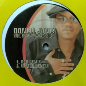 12inchレコード　 DONELL JONES / YOU KNOW WHAT'S UP REMIX