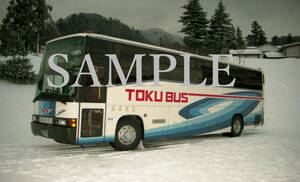 Ｆ【バス写真】L版１枚　徳島バス　ブルーリボン　貸切車