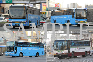 D【バス写真】L版５枚　とさでん交通　セレガ　エアロクイーンⅡ　空港連絡バス