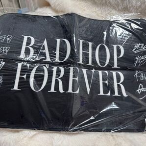 BADHOP 玄関マット