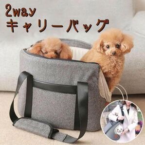 ペット キャリーバッグ ショルダー 手提げ バッグ おしゃれ メッシュ 犬 猫 通気性 旅行 暖か 秋 冬 クッション リード
