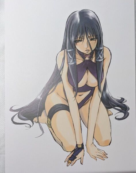 ガンソード DVD 特典 イラストカード