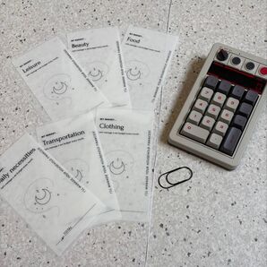 予算管理!saving項目別リフィルA6サイズ