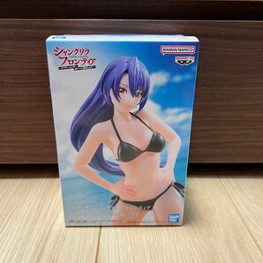 フィギュア シャングリラ