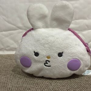 あのクズを殴ってやりたいんだ くずぴょん コインポシェット