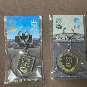 甲子園の土入りキーホルダー