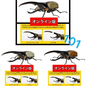《オンライン版 3種セット》 ヘラクレス・ヘラクレス リッキー いきもの大図鑑かぶとむし07 バンダイ