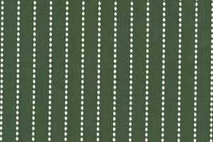 925004《生地の切売》ストライプ柄 グリーン 緑色 インテリア小物向け ドビー織 綿100% 先染め 国産 120cm幅【50cm単位】