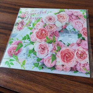 カレンダー2つ ★2025★