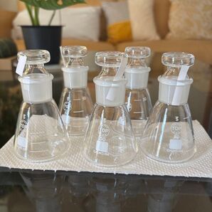 共栓 三角フラスコ 50ml TOP 相互理化学硝子製作所 実験器具 5個 フラスコ