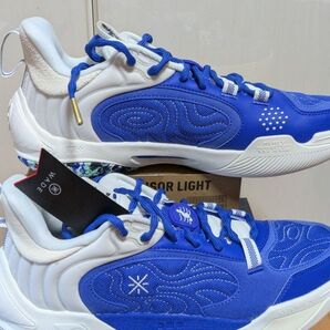 Wade Ice Blood 2 V2 サイズUS9.5アイスブラッド2 V2