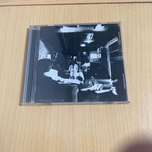 D-SHADE TRUE 送料込み