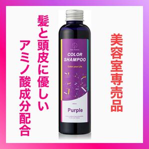 カラーシャンプー ムラシャン 紫シャンプー 美容室専売品 パープル