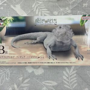 一番くじ 爬虫類両生類 B賞 フトアゴヒゲトカゲ フィギュア ハイポゼロ