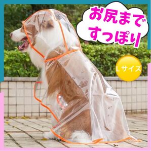 犬用レインコート Lサイズ カッパ 雨具 透明 ポンチョ 犬 寒さ対策 防寒 暴風 雨避け お散歩グッズ わんちゃん