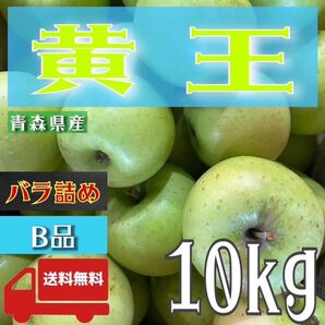 " 黄王 "【青森県産りんご10kg】【産地直送】【即購入OK】【送料無料】家庭用 りんご リンゴ 林檎