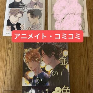 【新刊】三月えみ『金色のいつか 1巻』コミコミスタジオ限定12P有償特典小冊子 アニメイト4Pリーフレット【複数特典付き】