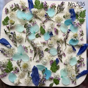 No,536 特小小花ミックス ドライフラワー花材