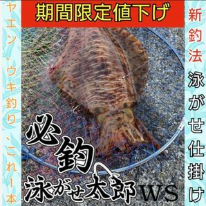 期間限定値下げ必釣泳がせ太郎WS4セット