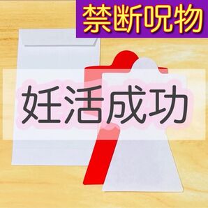 禁断御呪い 妊活成功のお守り 子宝祈願 夫婦円満 家内安全護符 お守り 妊娠 出産 安産 結婚 復縁 再婚 再々婚 妊活 月黄泉