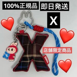 【X】POPMART LABUBU PIN FOR LOVE イニシャルラブブ ぬいぐるみ