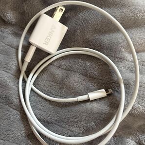充電器 ライトニングケーブル lighteningケーブル 充電ケーブル USB Apple iPhone 充電器 電源アダプタ