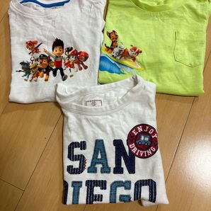 next Tシャツ パウパトロール 100