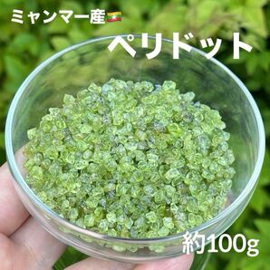 MY618 ペリドット さざれ 100g 天然石 パワーストーン 浄化