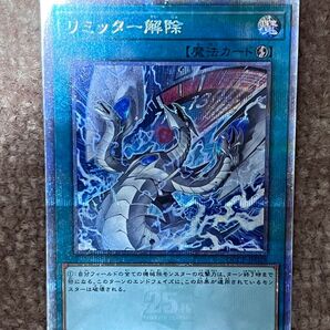 リミッター解除 QCCP-JP028 クオシク