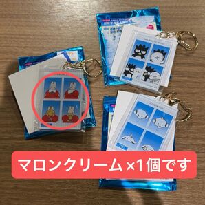サンリオ トレーディング証明写真風キーホルダー マロンクリーム
