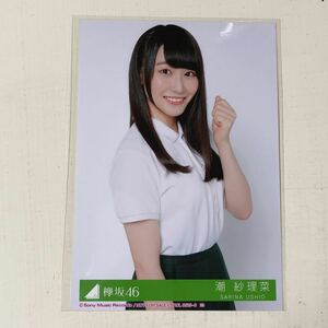 欅坂46◆潮紗理菜◆風に吹かれても◆封入特典生写真◆即決