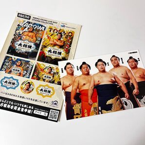 【未使用】大相撲 ステッカー シール ポストカード ABEMA 照ノ富士 妙義龍 大栄翔 明生 隠岐の海 照強