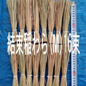 結束稲わら(Mサイズ)16束