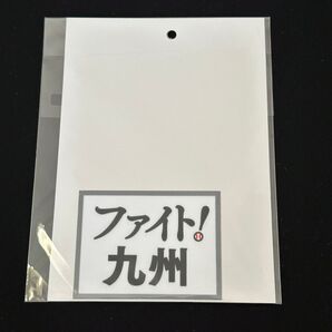 福岡ソフトバンクホークス ファイト九州 プリントワッペン