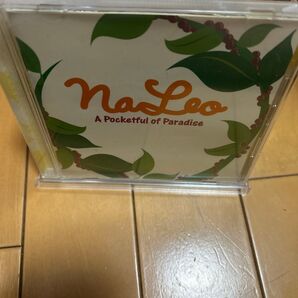 ポケットフルオブパラダイス/ナレオ