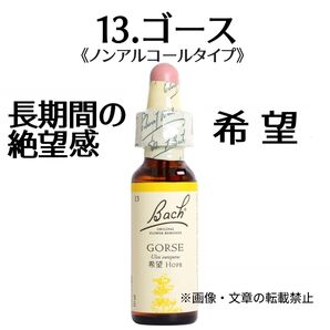 13.ゴース(10ml)ノンアルコールフラワーエッセンス 植物グリセリンベースフラワーエッセンス NelsonBach社