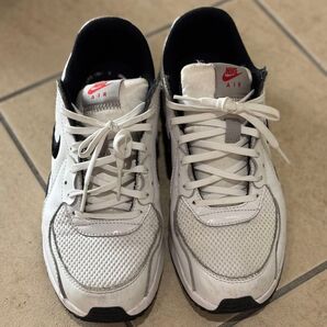 ※12月処分 NIKE AIR MAX EXCEE 25cm