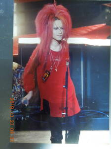 HIDE 写真 ブロマイド 268 / X JAPAN