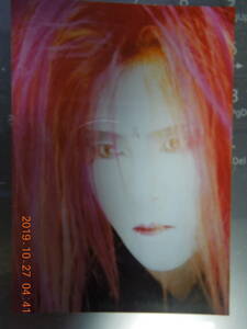 HIDE 写真 ブロマイド 284 / X JAPAN