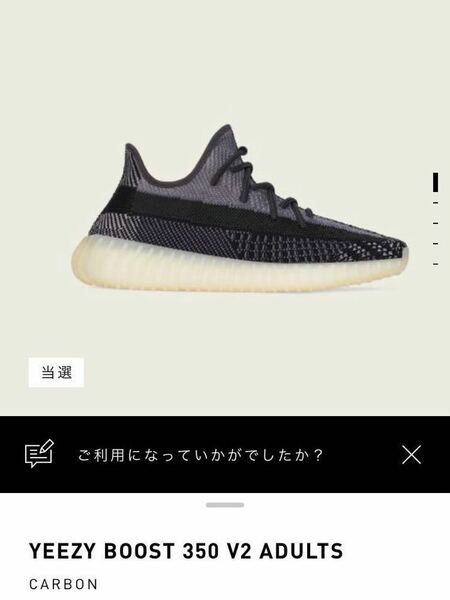 28.5cm YEEZY BOOST 350 V2 CARBON