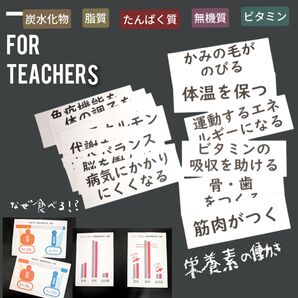 小5小6家庭科 5大栄養素 働き なぜ食べる 小学校教師用教材 手作り授業準備