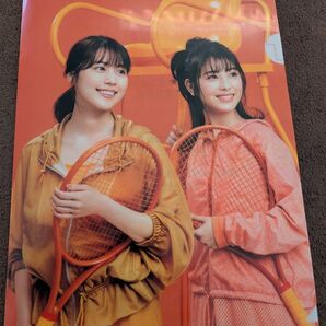 メディフル クリアファイル