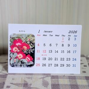 2026年度 バラ卓上カレンダー (はがきサイズ)
