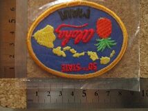 0s ハワイ HAWAII マウイ島MAUI ビンテージ刺繍ワッペン/パイナップルVoyger観光パインお土産アロハ旅行アメリカUSAパッチSURF_画像7